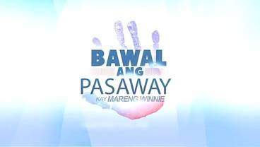 Bawal ang Pasaway kay Mareng Winnie poster