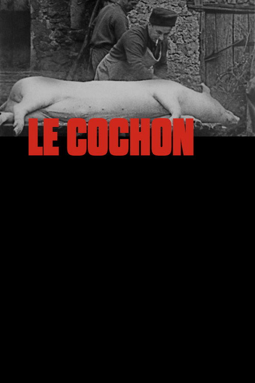 Le Cochon poster