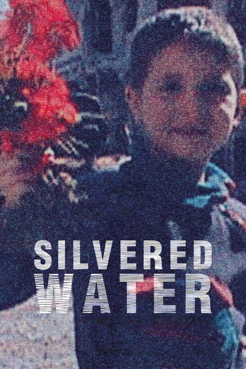 Silvered Water, Syria Self-Portrait poster