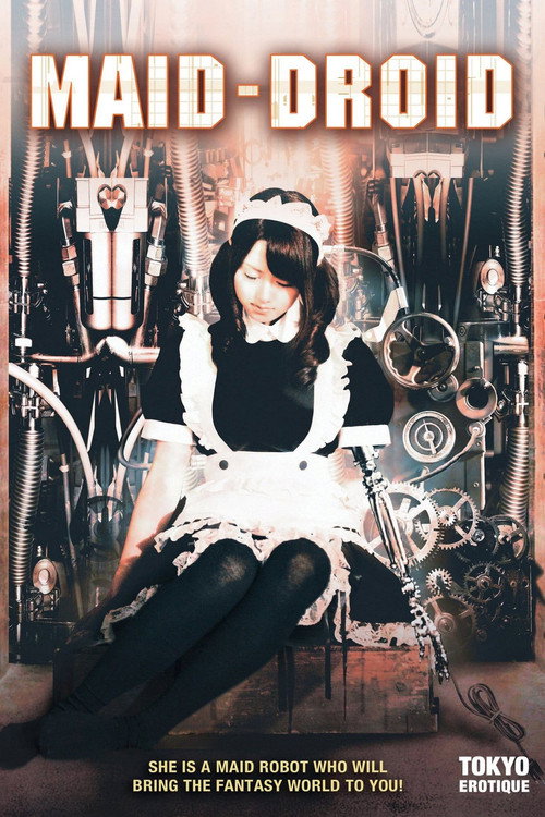 Maid-Droid poster
