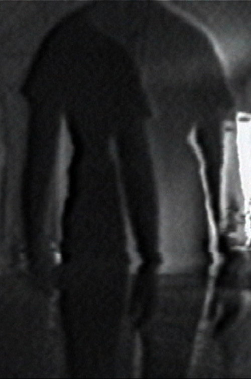 Double Vision poster