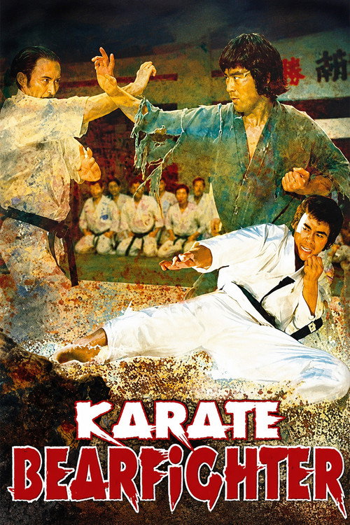 Karate Bearfighter poster