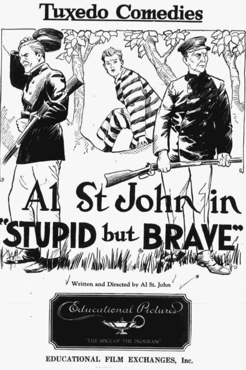Stupid, But Brave poster