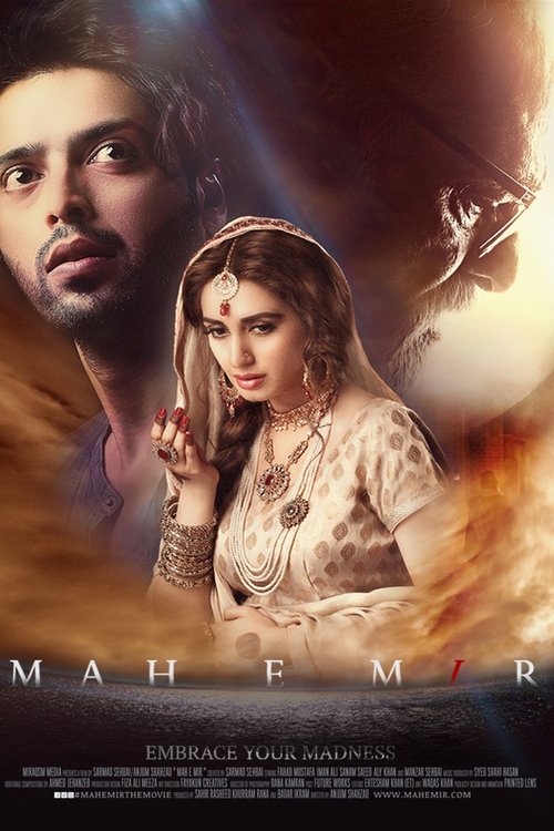 Mah-e-Meer poster