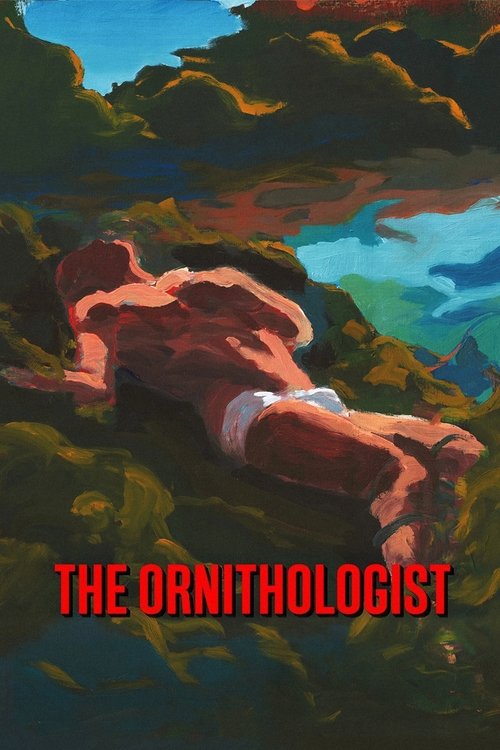 O Ornitólogo poster