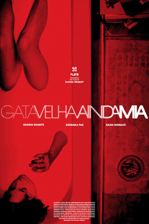 Gata Velha Ainda Mia poster