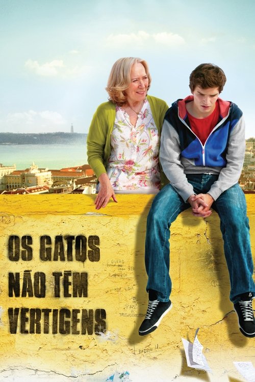 Os Gatos Não Têm Vertigens poster