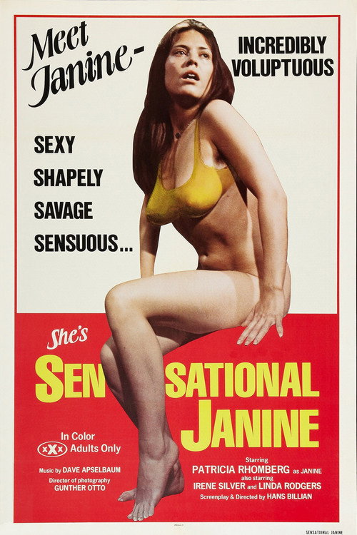 Sensational Janine poster