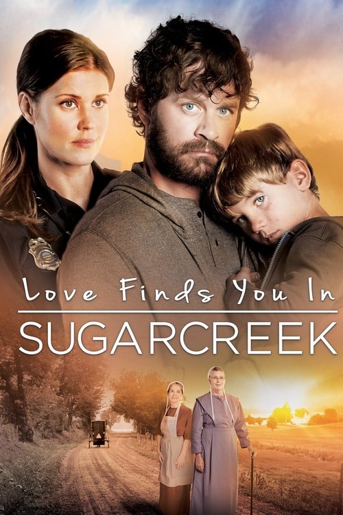 Love Finds You in Sugarcreek, Ohio poster