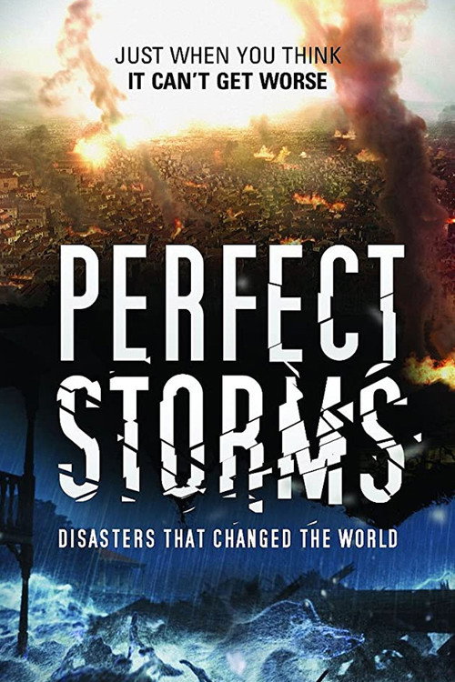 Perfect Storm: Disasters That Changed The World poster