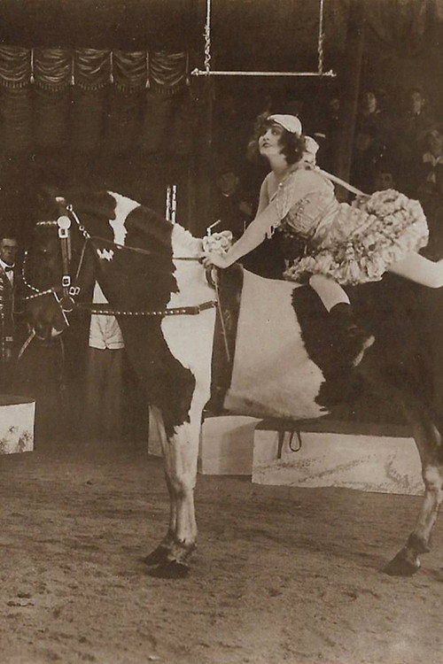 Crown and Whip poster