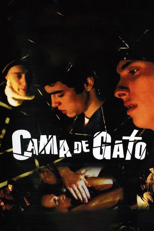 Cama de Gato poster