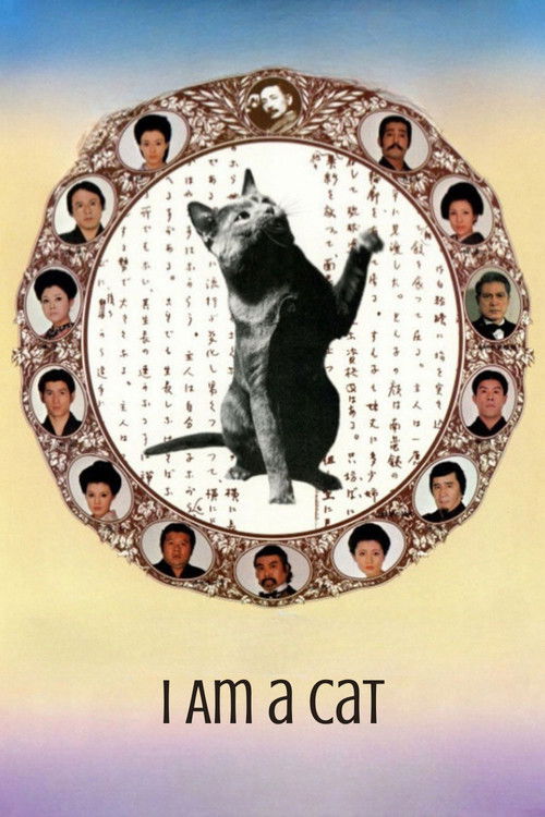 I Am A Cat poster