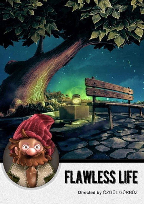 Flawless Life poster