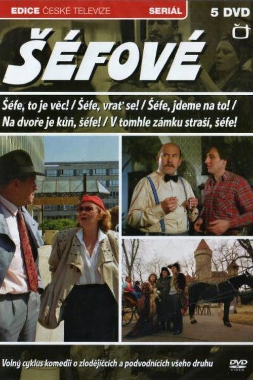 V tomhle zámku strasí, séfe! poster