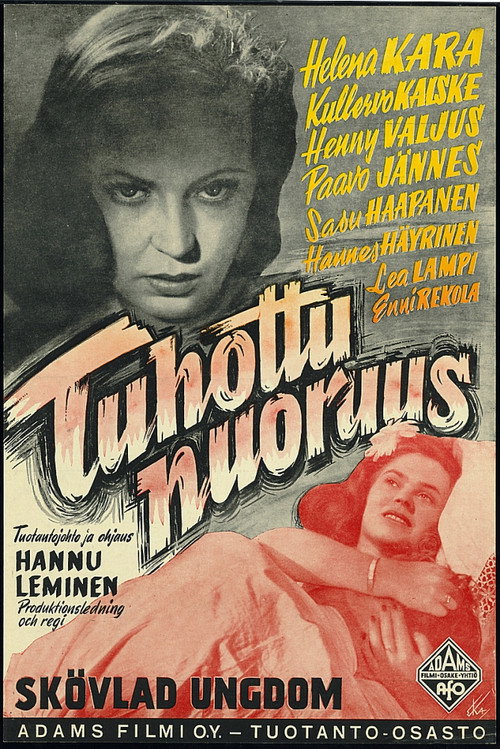 Destroyed Youths poster