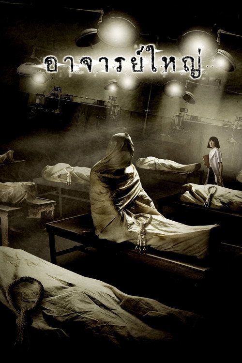 Pitevna poster