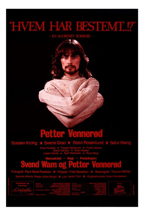 Hvem har bestemt..!? poster