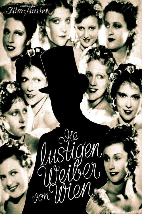 The Merry Wives of Vienna poster