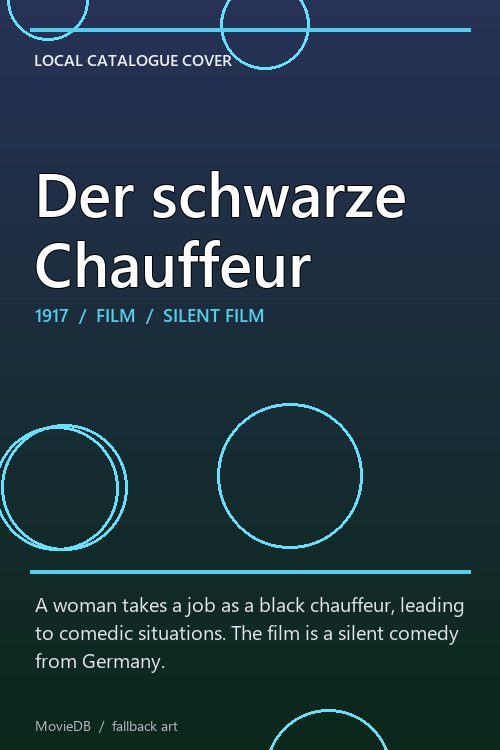 Der schwarze Chauffeur poster