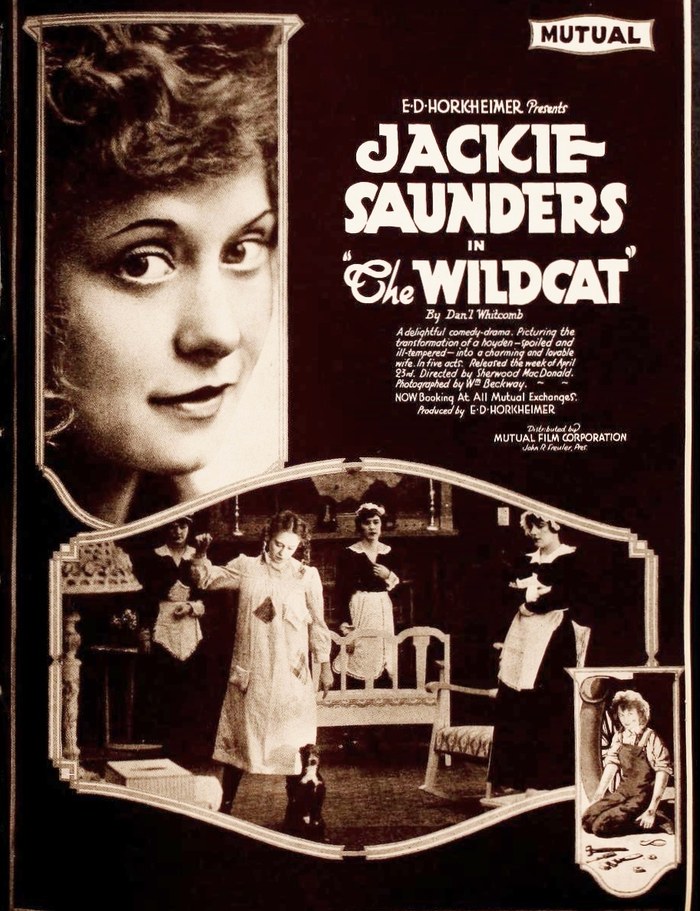 The Wildcat poster