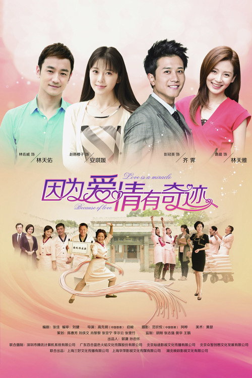 Because Love is a Miracle poster