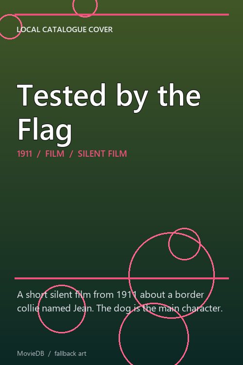 Tested by the Flag poster