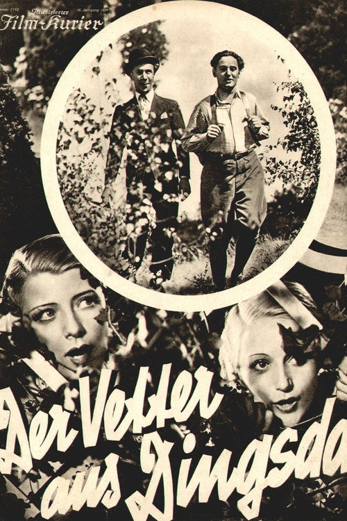 The Cousin from Nowhere poster