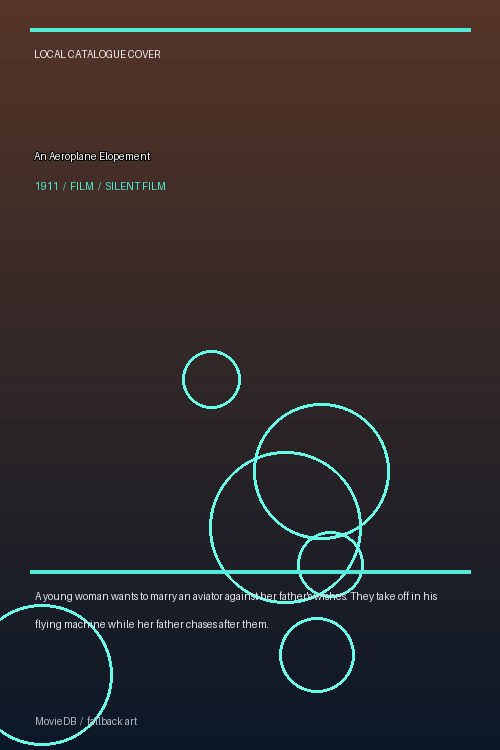 An Aeroplane Elopement poster