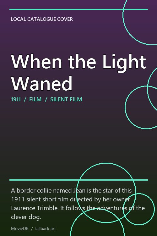 When the Light Waned poster