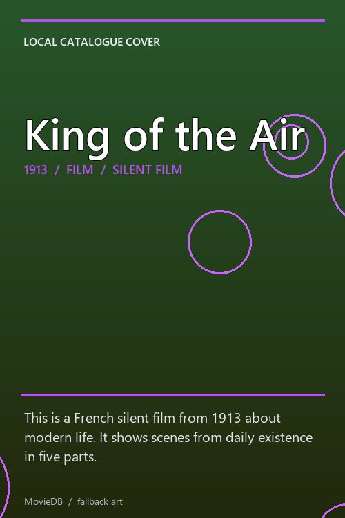 King of the Air poster