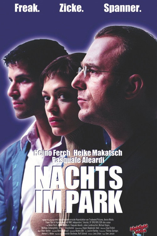 At Night In The Park poster