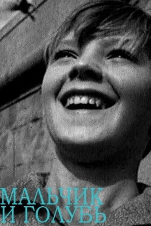 The Boy and the Dove poster
