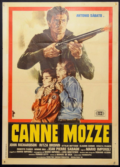 Canne mozze poster