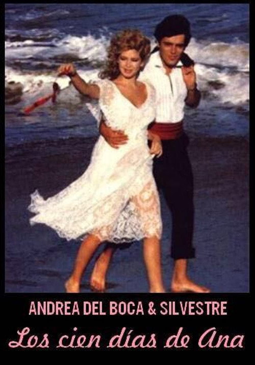 Los cien días de Ana poster