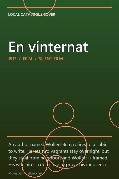 En vinternat poster