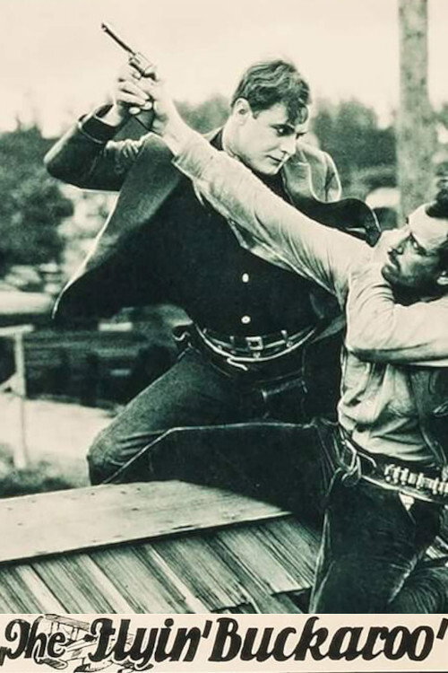 The Flying Buckaroo poster