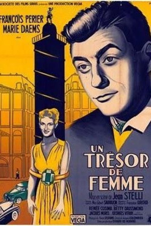 A Woman's Treasure poster