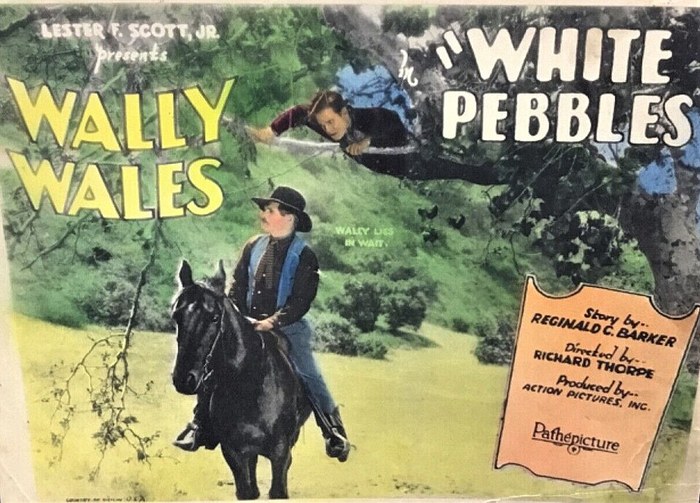 White Pebbles poster