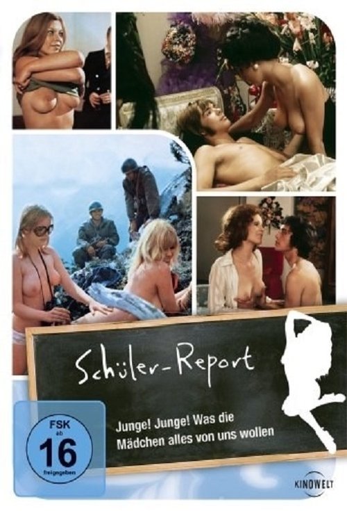 Schüler-Report poster