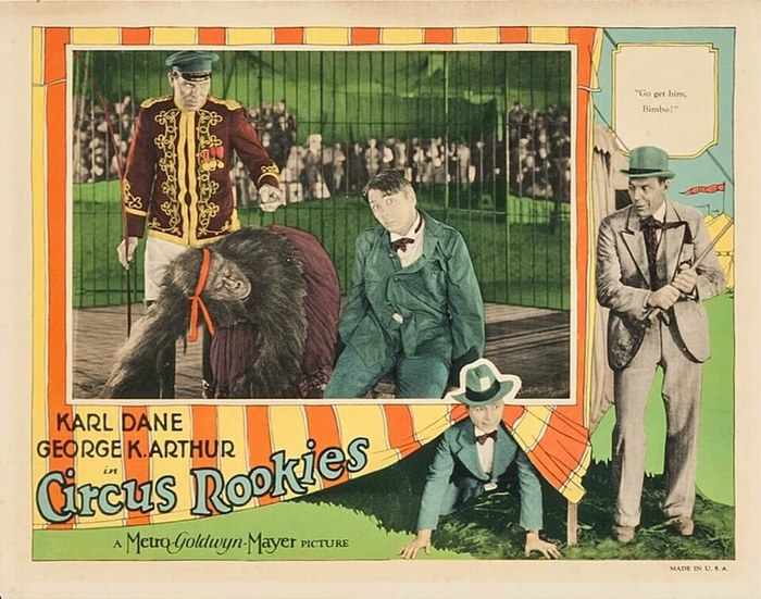 Circus Rookies poster