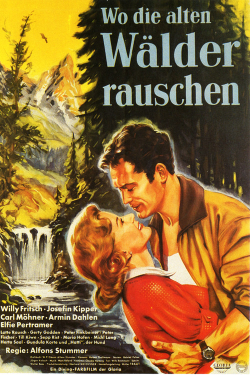 Where the Ancient Forests Rustle poster