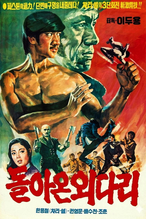 The Korean Connection poster