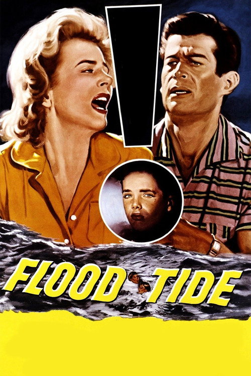 Flood Tide poster