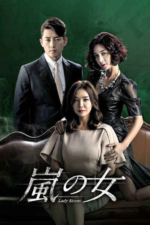 Lady of the Storm poster