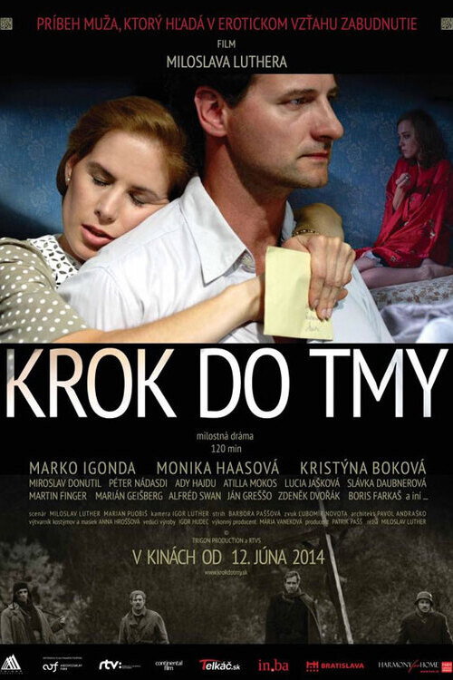 A Step Into the Dark poster