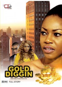 Gold Diggin poster