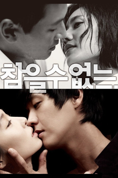 Secret Romance poster