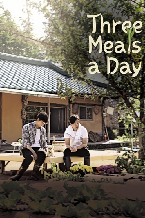 Three Meals a Day poster