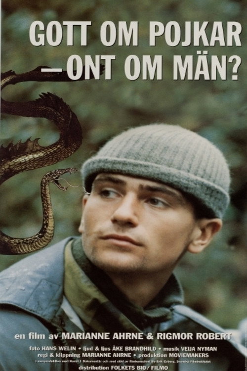 Gott om pojkar - ont om män? poster